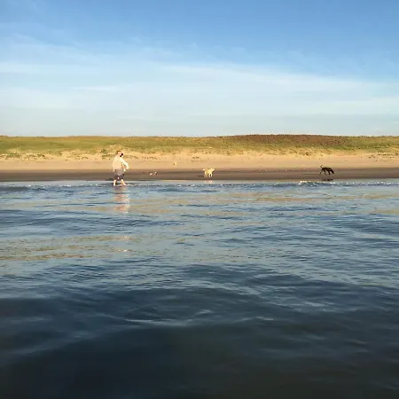 Chalet Duindoorn 45 *