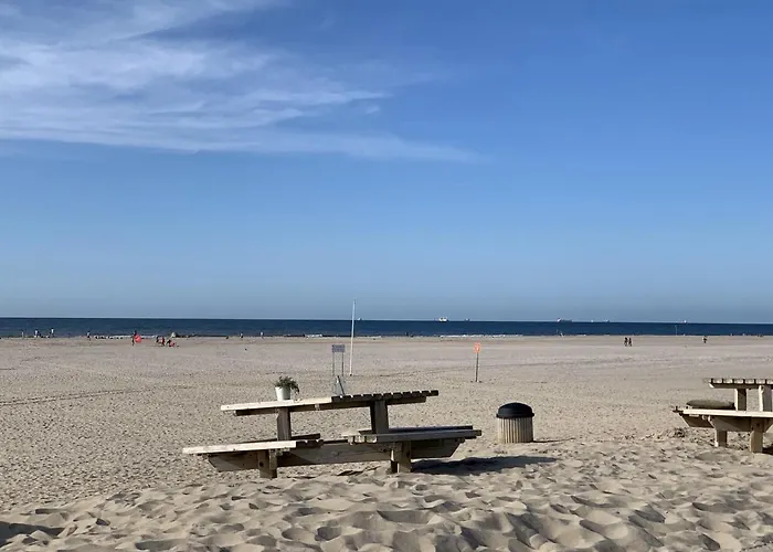 Duindoorn 45 * 艾默伊登