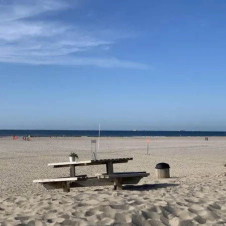 Duindoorn 45 * IJmuiden